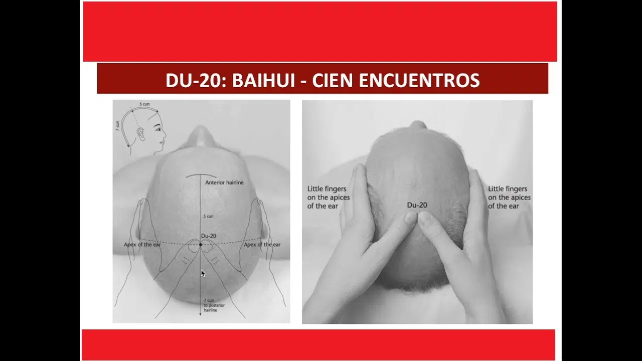 Bai Hui. Calma tu mente.