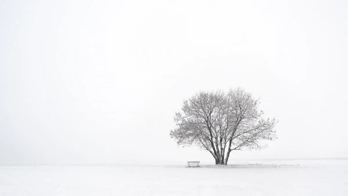 minimalismo consciente